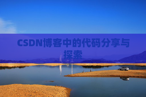 CSDN博客中的代码分享与探索